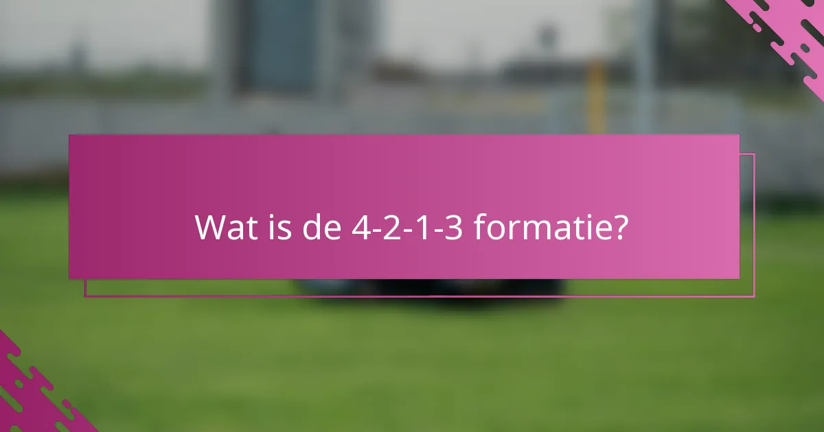 Wat is de 4-2-1-3 formatie?